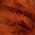 Hareline-Marabou-Blood-Quills-Medium-Brown.jpg