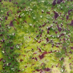 Hareline Kiley's Exo Skin #298 Purple Olive