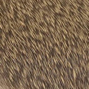 Hareline Coastal Deer Hair #2 Medium