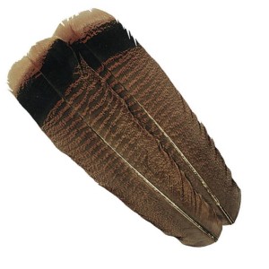 Hareline Cinnamon Tip Turkey Tail Feathers
