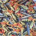 Gaby Brelok Karp lampas 12cm-72741