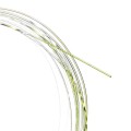 Soldarini Tapered Leader Olive 12ft 0.18-0.42mm-72815