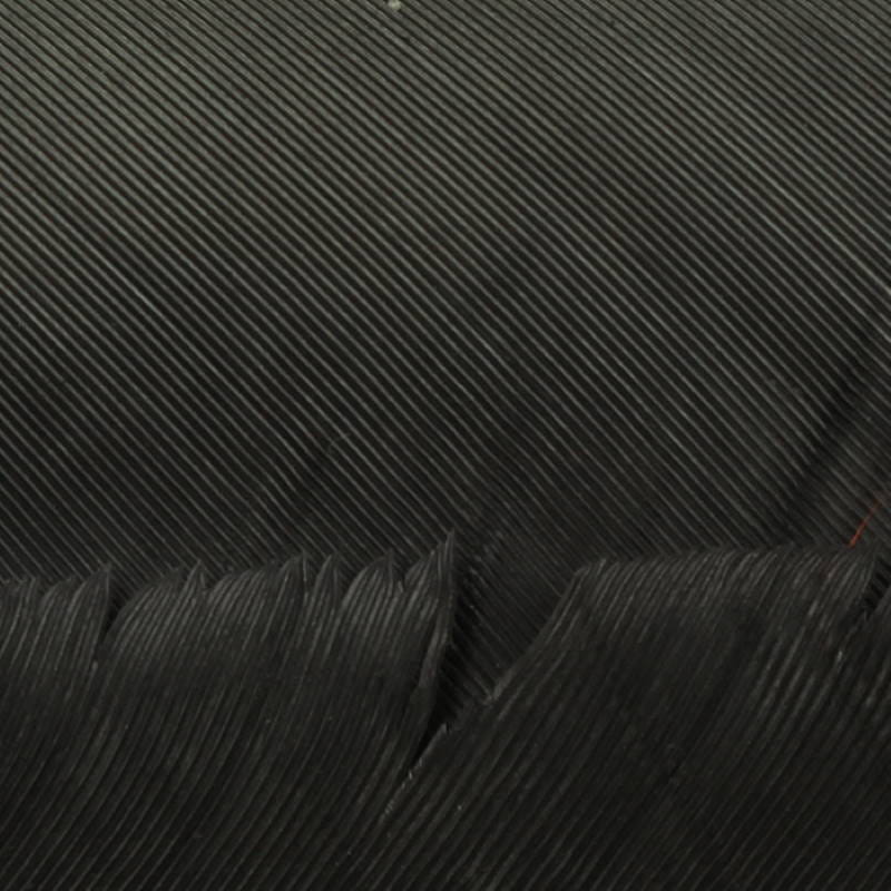 Hareline Turkey Biot Quills #372 Trico-24408