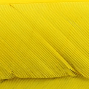 Hareline Turkey Biot Quills #383 Yellow