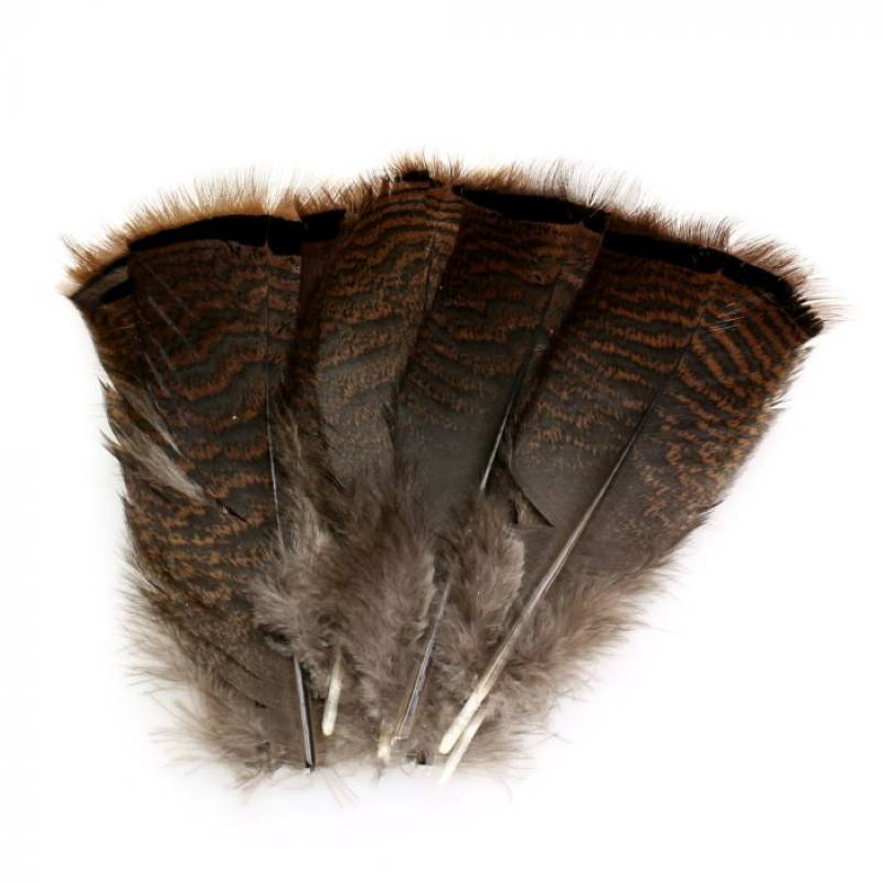 Hareline Turkey Shorts Mix-24399