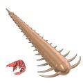 Libra Lures Slayzur 035 Pellets Kryl 5.5cm -73075