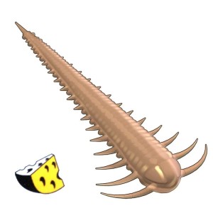 Libra Lures Slayzur 035 Pellets Ser 5.5cm 