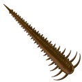 Libra Lures Slayzur 038 Brown Ser 5.5cm -73092