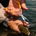 Loon Classic Mitten Scissor Clamps-73121