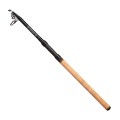 Mikado Wędka Intro II Cork Power Telerod 120g 3m-73185