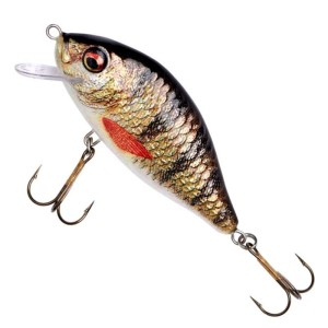 Jaxon Wobler Holo Select Nature 3D Karaś  F OB 8cm