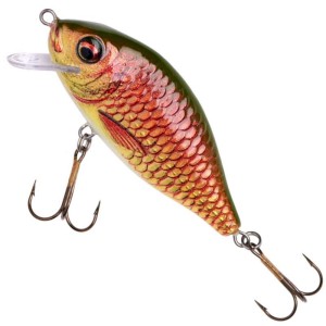 Jaxon Wobler Holo Select Nature 3D Karaś  F PG 8cm