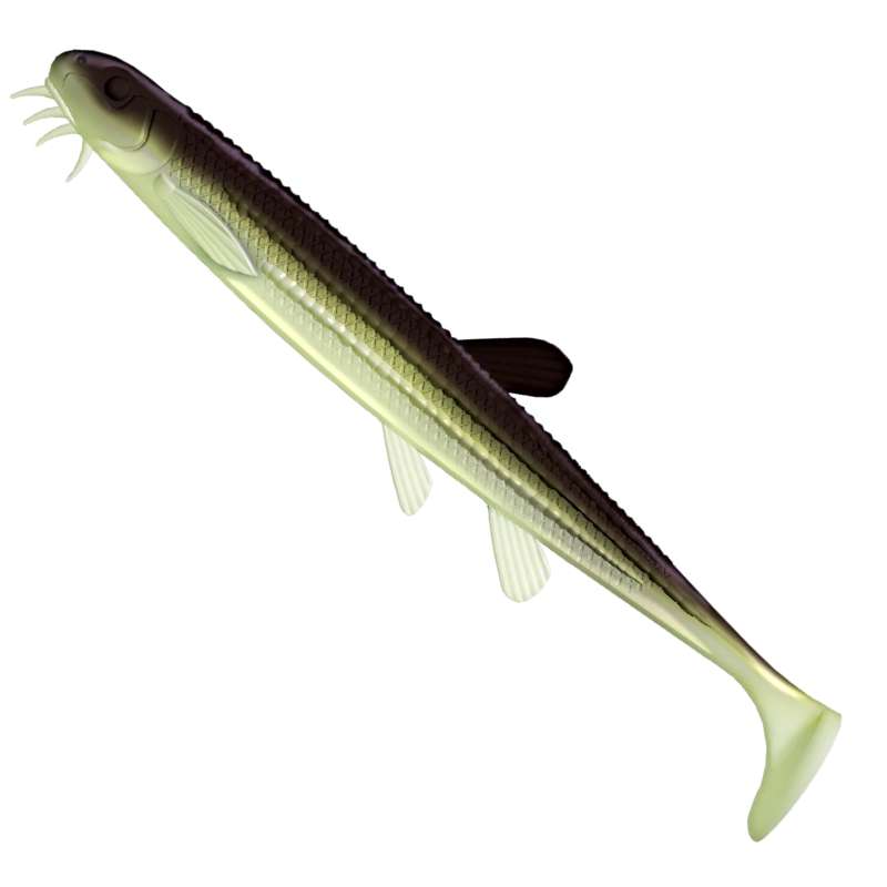 Libra Lures Musta Shad 031 Olive Whitefish 17.5cm -73479