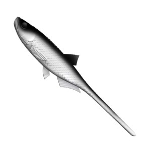 Libra Lures Bleak Slug-Tail White 9cm 