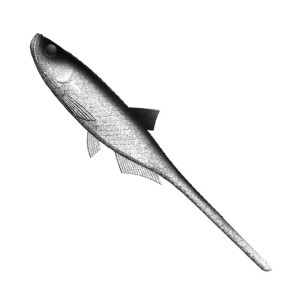 Libra Lures Bleak Slug-Tail Ghost 9cm 