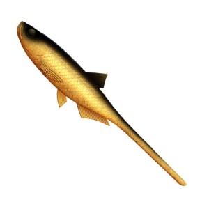 Libra Lures Bleak Slug-Tail Gold 9cm 