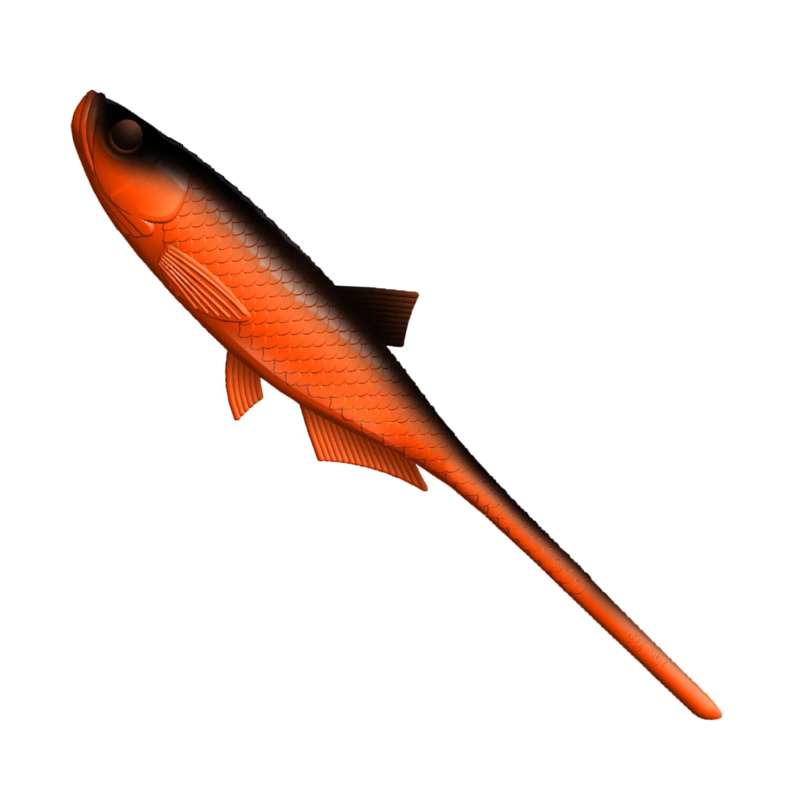 Libra Lures Bleak Slug-Tail Hot Orange 9cm -73513