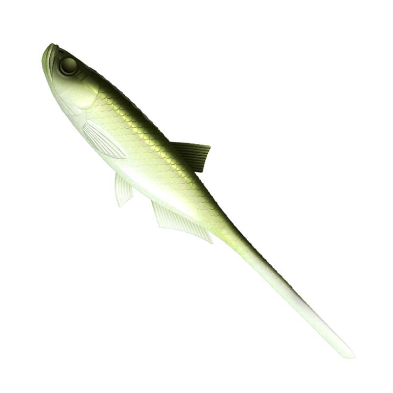 Libra Lures Bleak Slug-Tail Olive Whitefish 9cm -73507