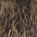 Taimen India Cock Cape AA Silver Badger-73555