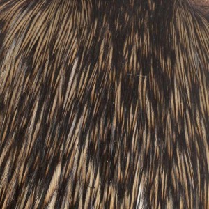 Taimen India Cock Cape AA Silver Badger