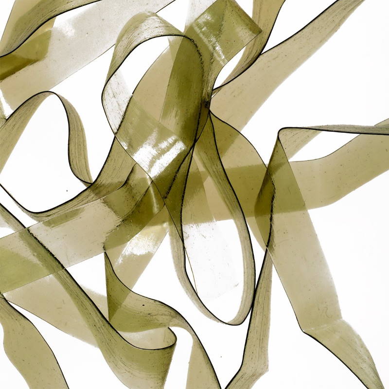 Hareline Scud Back 1/4 Light Olive #212-24619