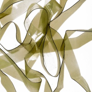 Hareline Scud Back 1/4 #212 Light Olive