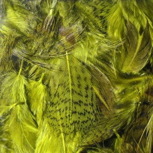 Hareline Premium Hungarian Partridge #263 Olive