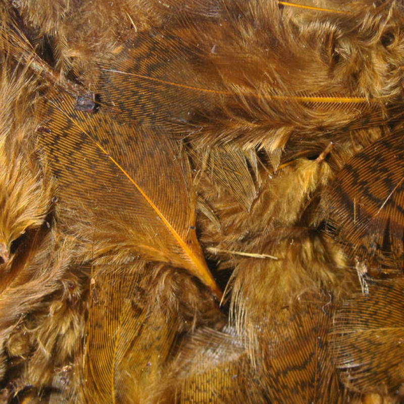 Hareline Premium Hungarian Partridge #40 Brown-24134