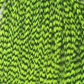 Hareline Half Cape #171 Grizzly Chartreuse-24635