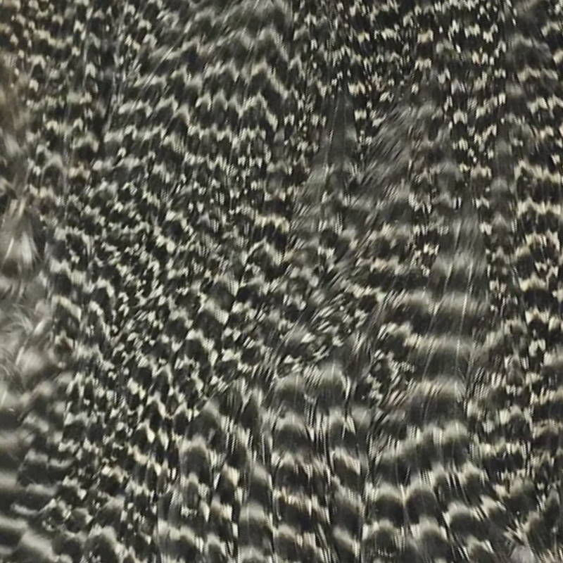 Hareline Hen Cape #176 Grizzly Natural-24677