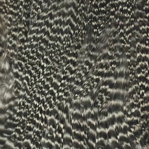 Hareline Hen Cape #176 Grizzly Natural