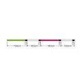 Toray Plecionka Saltline Super Eging F4 1 15lb-37687