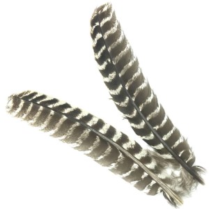 Hareline Ozark Oak Mottled Turkey Quills