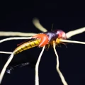 Żywica UV Loon UV Fly Finish – Orange 3.webp