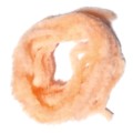 Chenille Soldarini Egg's Chenille 15 mm – Peach