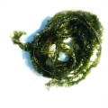 Chenille Soldarini Micro Jelly Fritz 6 mm – Olive