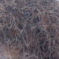 Dubbing Soldarini Alpine Hare's Fur – Rusty