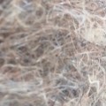 Dubbing Soldarini Alpine Hare's Fur CDC Plus – Rusty Brown