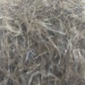 Dubbing Soldarini Alpine Hare's Fur CDC Plus – Dun