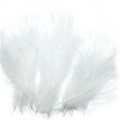 Pióra CDC Soldarini Small Wings 30 szt. – White