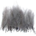 Pióra CDC Soldarini Small Wings 30 szt. – Dark Dun