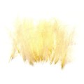Pióra CDC Soldarini Small Wings 30 szt. – Light Yellow