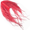 Pióra strusia Soldarini Ostrich Herls Barred – Red