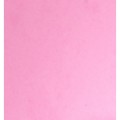 Pianka Soldarini Razor Foam 2 mm – Pink