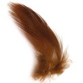 Pióra krzyżówki Soldarini Mallard Flank – Brown