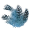 Pióra perlicy Soldarini Guinea Fowl – Blue
