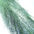 Włókna Soldarini Long Fiber Barred – Green/Black