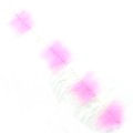 Włókna Soldarini Two Tone Pike Brush – Pink/White