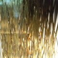 Flashabou Soldarini – Gold