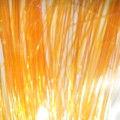Flashabou Soldarini – Flame Orange